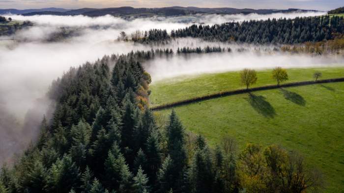 Parc naturel régional du Morvan